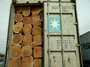 掘金非洲市场 进口木材与服装服饰的双轮驱动