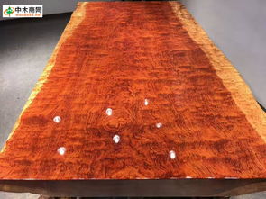 中木商网木业头条 聚焦福建家有名木厂家直销，一站式获取木材批发价格、产品图片与品牌信息