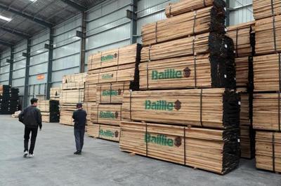 木材价格飙升下的产业阵痛 青岛工厂无奈转让折射行业困境